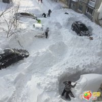 Во Владивостоке рекомендуют сократить рабочий день из-за непогоды