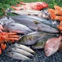 Розничные торговые сети Приморья снизили цены на мороженую рыбу