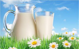 В Приморье наращивают производство местного молока