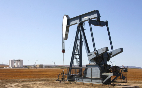 «Роснефть» передумала строить нефтехимический комплекс в Приморье