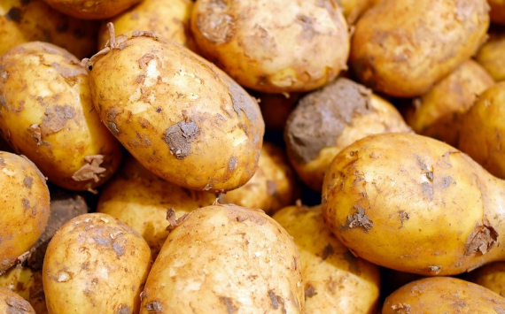 В Приморье супермаркеты опустили цены на картофель и рыбу