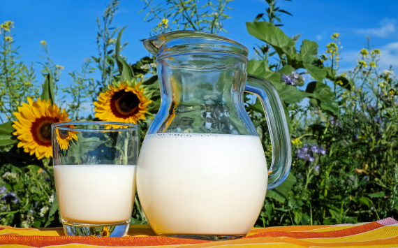 В этом году в Приморском крае выросли надои молока