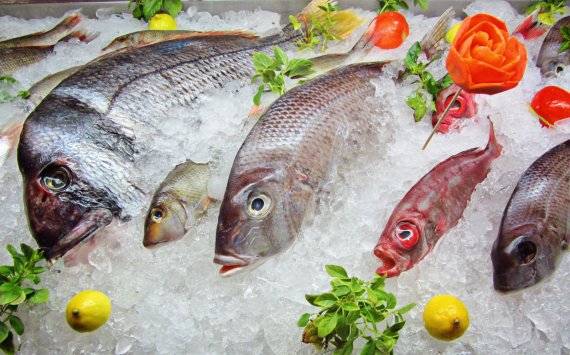 Эксперты проанализировали рыбную промышленность Приморья