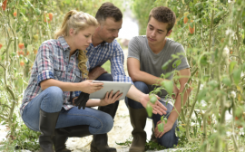 РСХБ в Приморье помогает студентам-аграриям получить опыт работы в отрасли