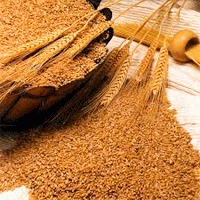 Госфонд повысил цену на пшеницу