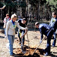 Учащиеся 57 школы Владивостока устроили субботник в парке Минного городка 