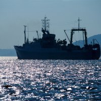 Россия и Южная Корея улучшают «рыбное» сотрудничество в ДФО