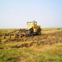 На поддержку сельского хозяйства Приморья направят более 3 млрд рублей