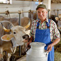 Число семейных ферм в Приморье увеличилось