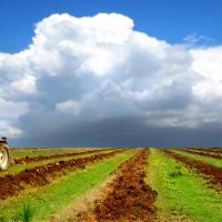 В Приморском крае за последние 5 лет на 34% увеличилась площадь посевов