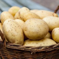 Приморский край попытались накормить «пакистанским» картофелем
