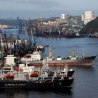Резидентами Свободного порта Владивосток стали еще 8 новых компаний