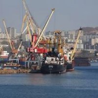 Свободный порт Владивосток создаст общественный совет