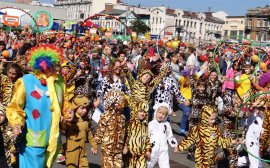 Владимир Путин высоко оценил роль фестиваля «День тигра» во Владивостоке в вопросах охраны природы