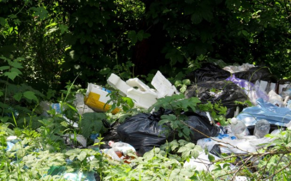 В Уссурийске на уборку мусора и скашивание травы потратят 3,5 млн рублей