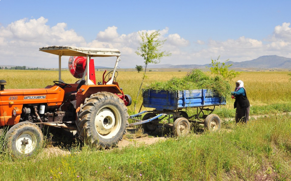В Приморском крае фермеры собрали 370 тысяч тонн сои