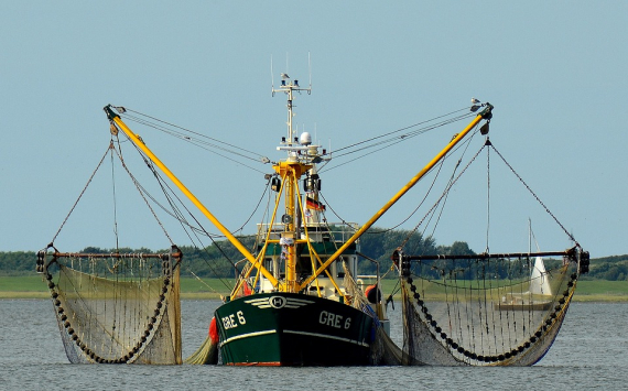 В Приморье рыбаки на 23% увеличили вылов минтая, трески и сельди