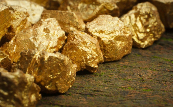 Золотодобывающая компания Petropavlovsk по-прежнему является объектом судебных разбирательств