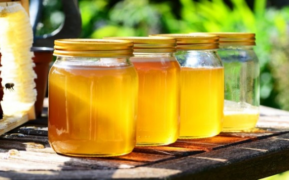 Приморский край за 5 лет в 2 раза увеличит производство мёда