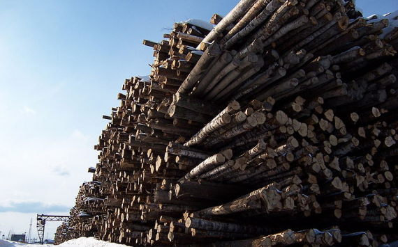 Компания из Японии станет владельцем крупнейшего лесозаготовительного предприятия Приморья