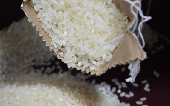 В Приморье аграрии намерены собрать более 20 тыс. тонн риса