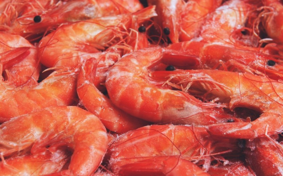 В Приморье экспортные перевозки морепродуктов выросли в 1,8 раза