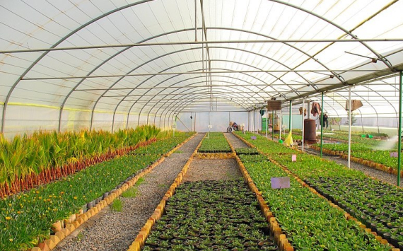 В Приморье наладят производство «искусственной почвы» для теплиц