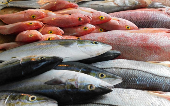Приморье на 30% нарастило экспорт морепродуктов в Китай