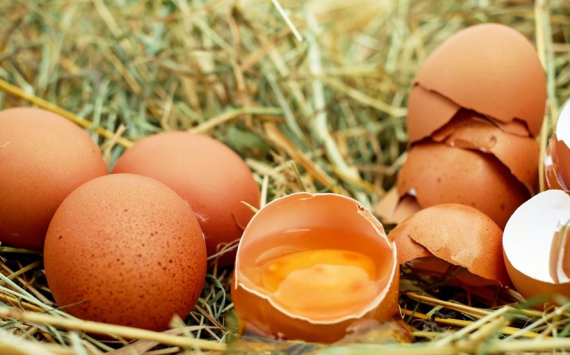 В Приморье птицефабрики намерены снизить цены на яйца