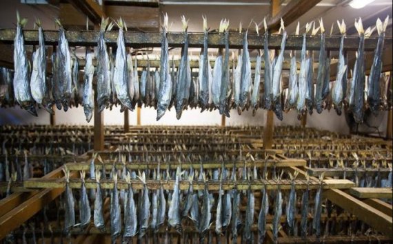 Азиатские инвесторы положительно оценили рыбную промышленность Приморья