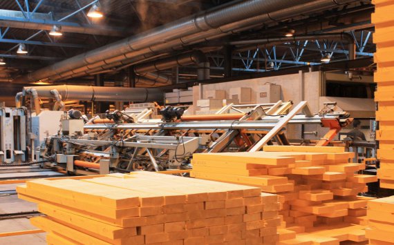 В Приморье инвестор вложил 500 млн рублей в деревоперерабатывающий завод