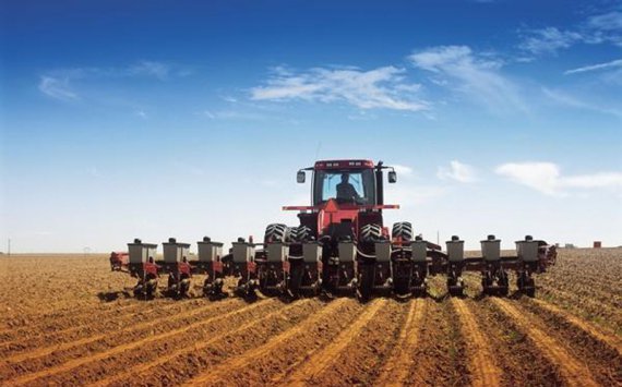 В Приморье аграрии засеяли зерновыми 3,8 тыс. га