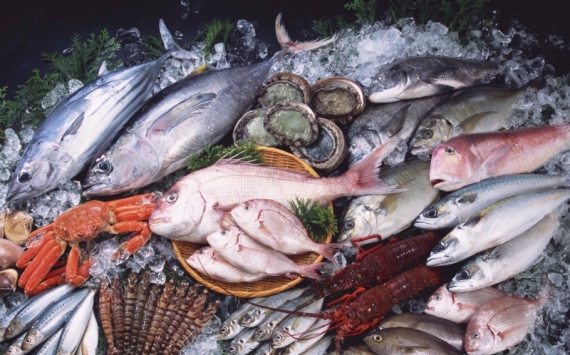 В Приморье экспорт рыбы за 3 года вырос в 2,4 раза
