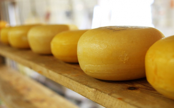 В Приморье в производство итальянских сыров вложат 14 млн рублей
